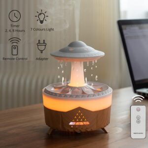 Raindrop Humidifier